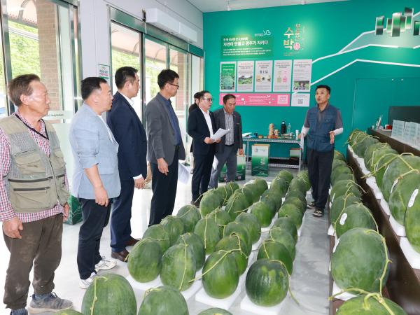 무등산수박 재배농가 현장 간담회 3